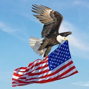 Meet your Posher, Jim